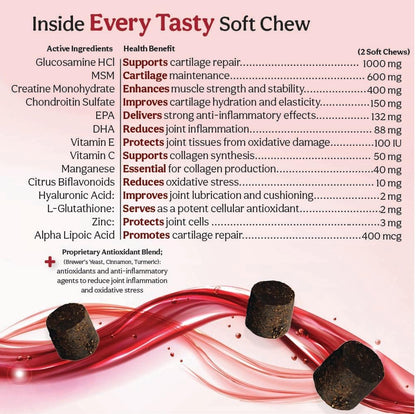 TS Joint Supplement Vet Formulated Pain & Inflammation Relief Treats Hip Dysplasia & Arthritis