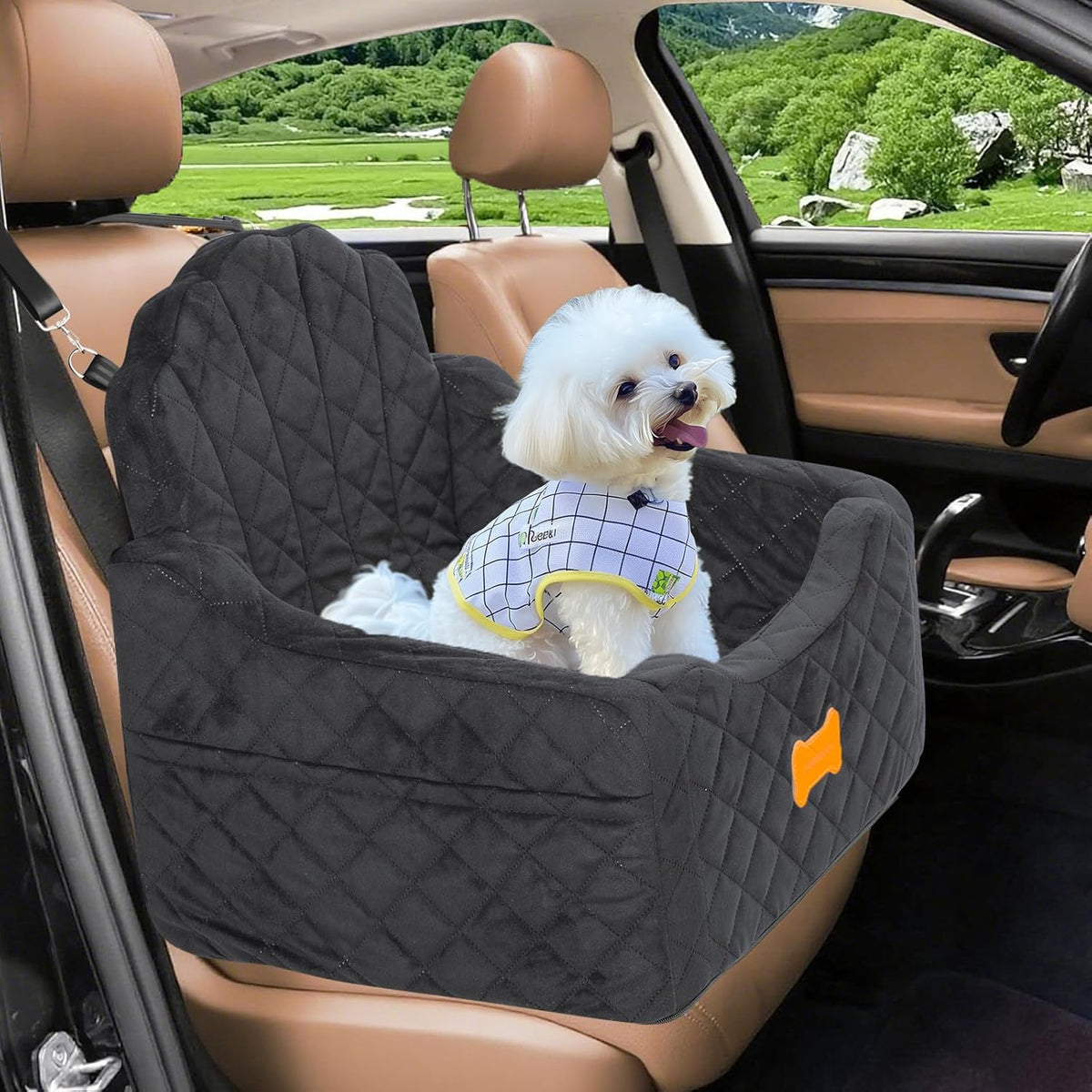 Dog Car Seat for Small Dogs Under 30lbs, Detachable Washable Pet Booster Seat with Safety Belt &