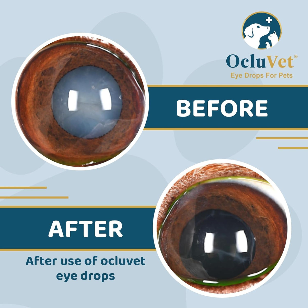 Eye Drops for Pets | Clinically Studied Antioxidants for Pets with Cataracts | Made in The USA |
