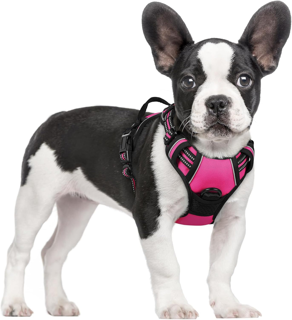 rabbitgoo Dog Harness No Pull with 2 Leash Clips, Adjustable Soft Padded, Reflective Oxford No