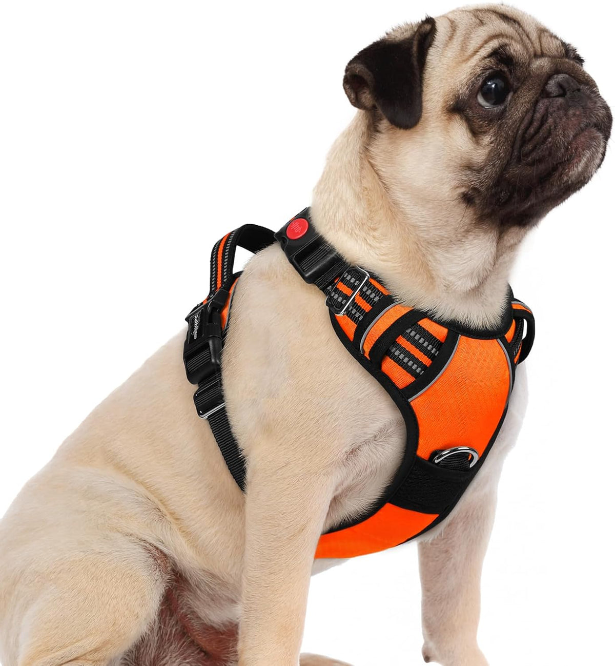 rabbitgoo Dog Harness Small Sized, No Pull Dog Vest with 3 Buckles, Adjustable Soft Padded Pet