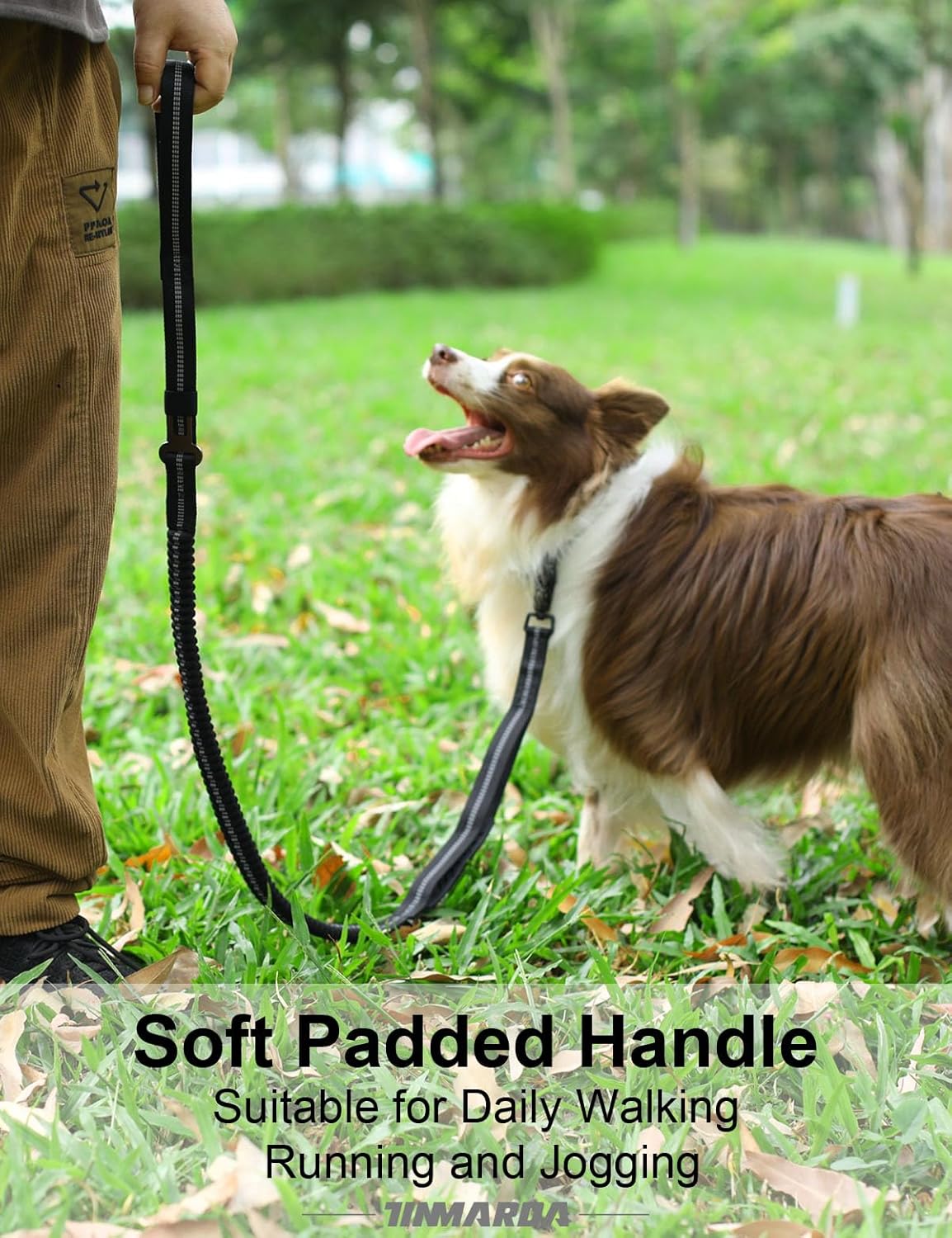 Heavy Duty Dog Leash, 4-6FT Shock Absorbing Dog Leashes with Traffic Handle and Comfortable Padded