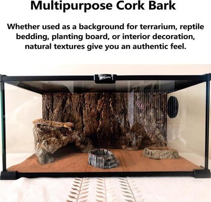 BNOSDM 4pcs Reptile Cork Bark Terrarium Background Bearded Dragon Tank Decor for Lizard Bearded