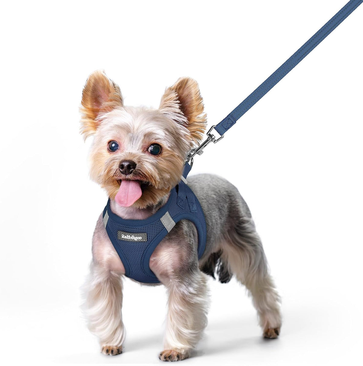 rabbitgoo Dog Harness Small Sized and Leash Set, Step in Soft Light Puppy Vest, Breathable Mesh Pet