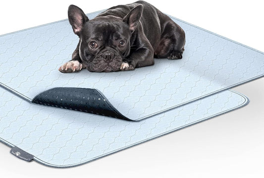 Paw Inspired Washable Pee Pads for Dogs (2 Pack), Leakproof, Non-Slip Reusable Puppy Pads for Potty
