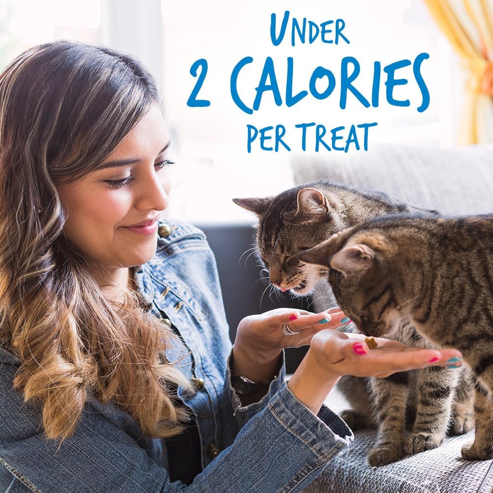 Fruitables Cat Treats Crunchy Cat Treats Packed with Protein Healthy Low Calorie Free of Wheat