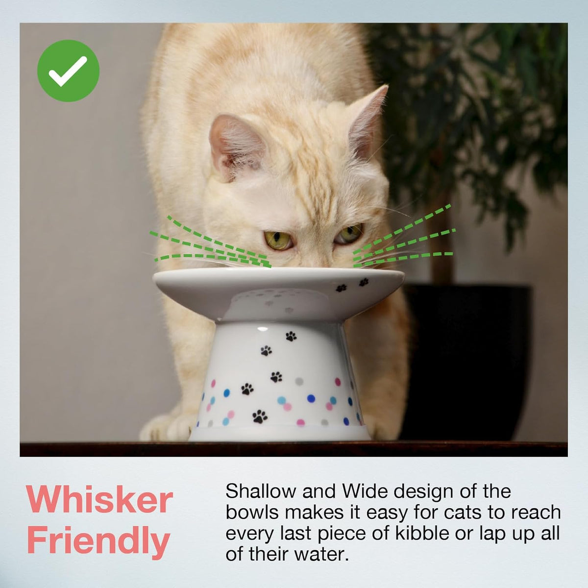 Necoichi Raised Cat Food Bowl – Ceramic Elevated Cat Bowl for Whisker & Neck Fatigue, Dishwasher