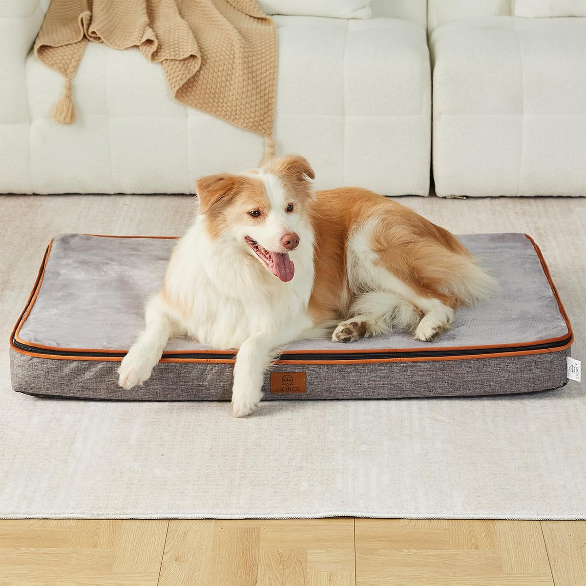 Memory Foam XL Dog Bed - 4” Thick Orthopedic Beds for Extra Large Dogs - Waterproof Dog Bed with