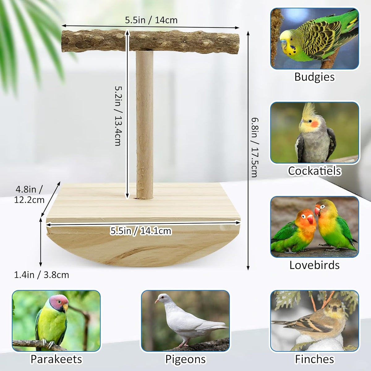 kathson Bird Training Stand, Parakeet Playground Bird Perch Stand Portable Tabletop Bird Perch