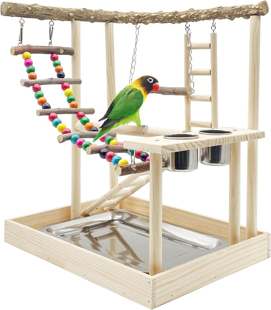 Hamiledyi Bird Playground Parrots Wood Perch Stand Cockatiel Playground Bird Play Gym Colours Climb