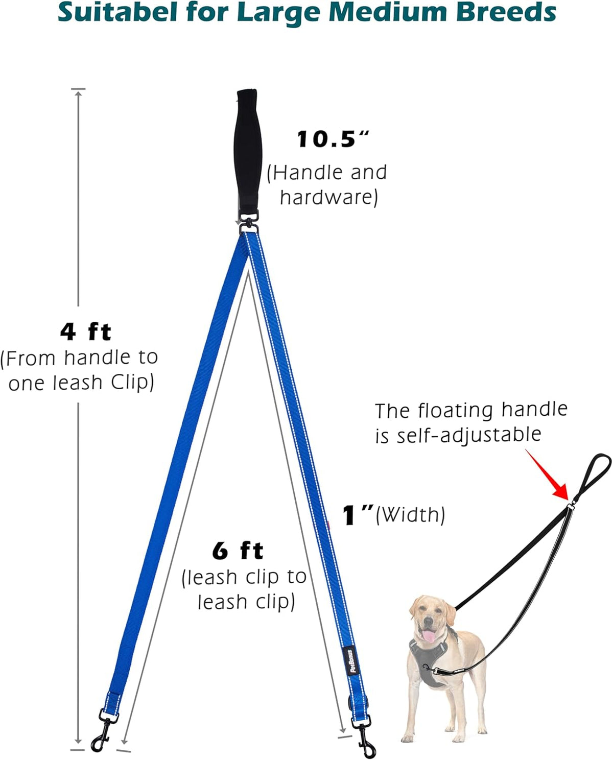 PetBonus Two Point Control Dog Leash, Works with No Pull Harnesses, No Tangle Dog Training Leashes