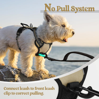 rabbitgoo Dog Harness No Pull with 2 Leash Clips, Adjustable Soft Padded, Reflective Oxford No
