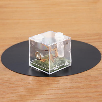 crapelles Jumping Spider Micro Middle Habitat, Small Pet Insect Breeding Box, 360 Degree