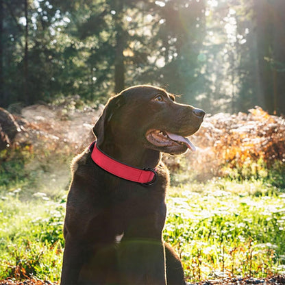 Didog Soft Padded PU Leather Dog Collar, Breathable and Adjustable Red Dog Collar for Large Dogs