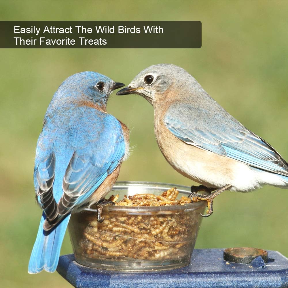 Bulk Mealworms 11Lbs, High-Protein Dried Mealworms, 100% Non-GMO Mealworm Treats for Birds