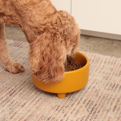 Waggo Uplift Ceramic Dog Bowl for Small Medium and Large Breeds - Heavyweight and Durable Pet Food