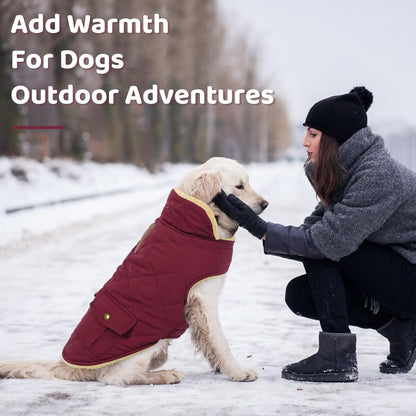 Queenmore Dog Winter Coat Warm Puffer Jacket Waterproof Plush Lining Thermal Cold Weather Vest for