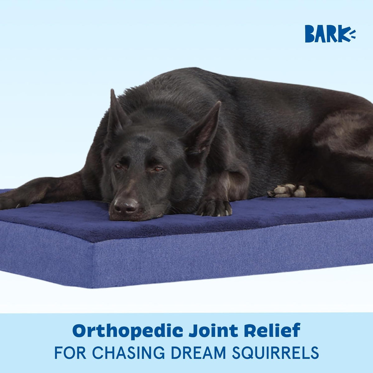 Barkbox Orthopedic Dog Bed with Memory Foam, Premium Comfort for Dogs and Puppies, Dog Bed for