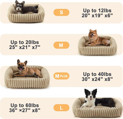 Dog Beds Medium Sized Dog, Washable Orthopedic Pet Bed with Removable Cover, Rectangle Soft Calming