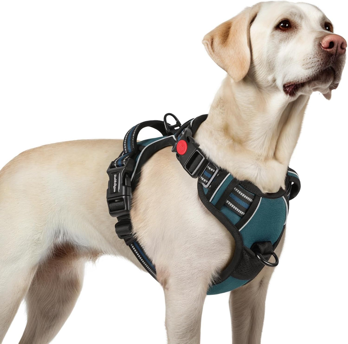 rabbitgoo Dog Harness for Large, No Pull Pet Harness with 3 Buckles, Adjustable Soft Padded Vest