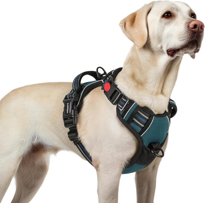 rabbitgoo Dog Harness for Large, No Pull Pet Harness with 3 Buckles, Adjustable Soft Padded Vest