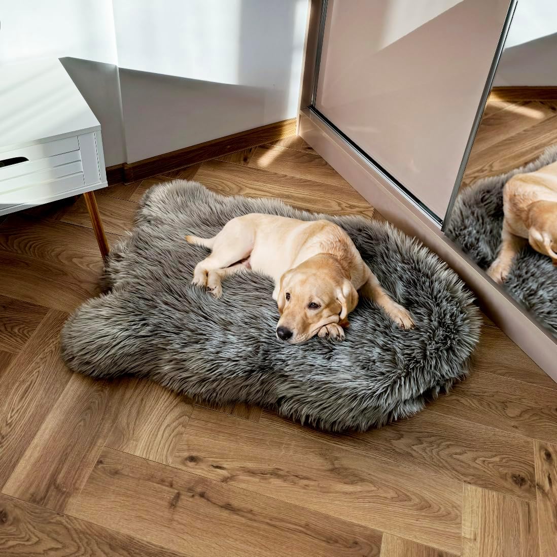 IHAPPYDOG Luxury Faux Fur Orthopedic Dog Bed, Memory Foam Dog Bed for Small, Medium, Large and XL