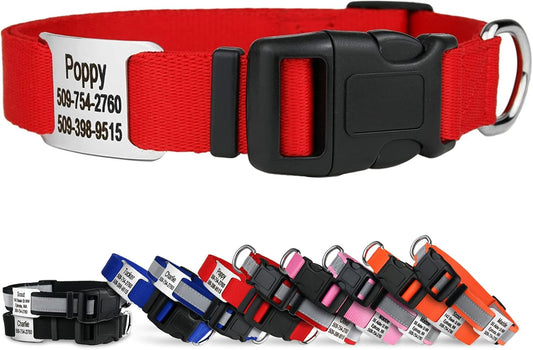 GoTags Personalized Dog Collar with Nameplate, Adjustable Dog Collar with Custom Engraved Slide On