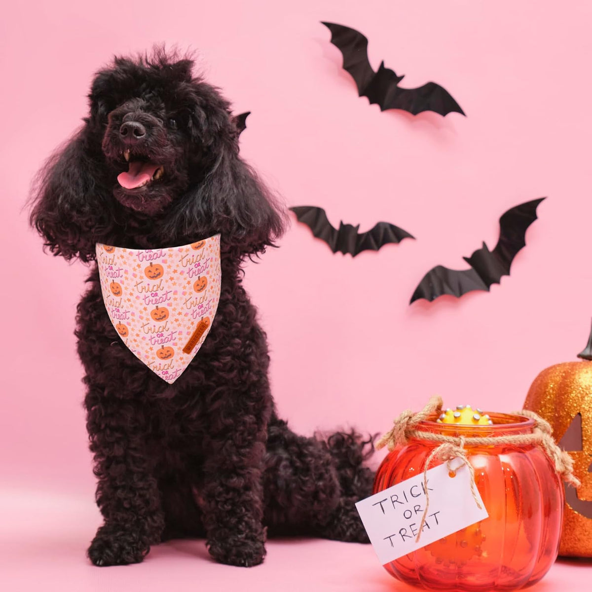 ADOGGYGO Halloween Dog Bandana, Pink Pumpkin Ghost Scarf, Adjustable Fit Female Halloween Bandanas