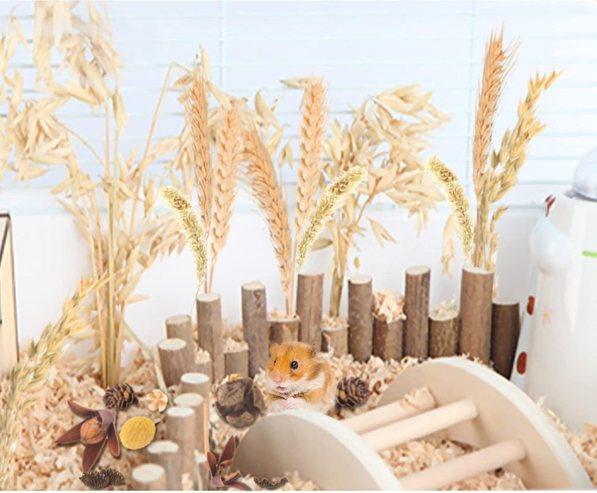 Natural Ear of Grain Flower&Herb Bedding Mate Habitat Decor, Adding Fun Hamster Accessories for