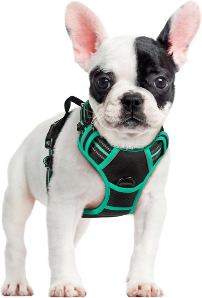 rabbitgoo Dog Harness No Pull with 2 Leash Clips, Adjustable Soft Padded, Reflective Oxford No