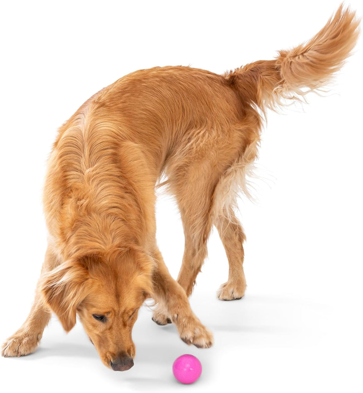WEST PAW Boundr Ball Dog Fetch Toy – Bouncing Toys for Dogs, Fetch, Catch, Chewing, Play