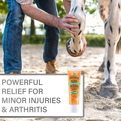 Absorbine Veterinary Liniment Gel, Topical Menthol Analgesic Rub for Sore Muscle, Joint & Arthritis