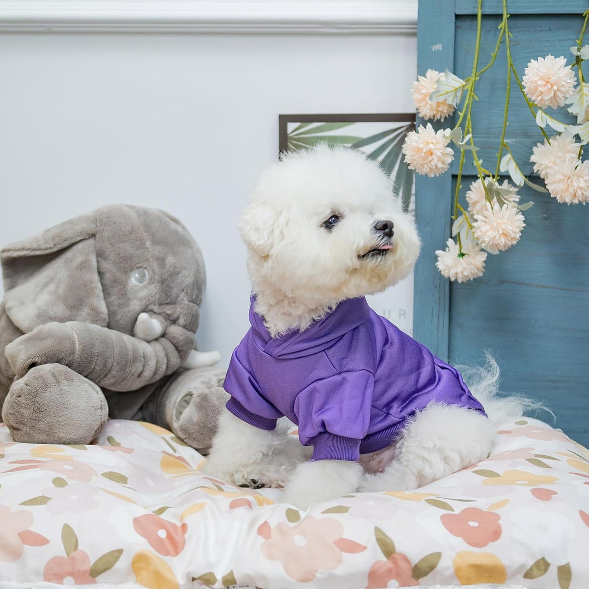 KOOLTAIL Basic Dog Hoodie - Soft & Warm Dog Hoodie Sweater with Leash Hole and Pocket, Dog Winter