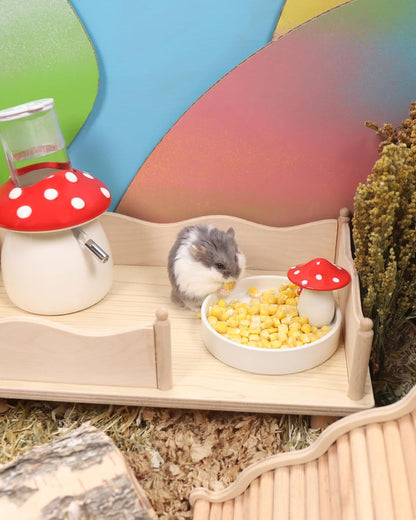 Niteangel Hamster Snack & Treats Toy - Small Animal Natural Treat for Dwarf Syrian Robo Hamsters