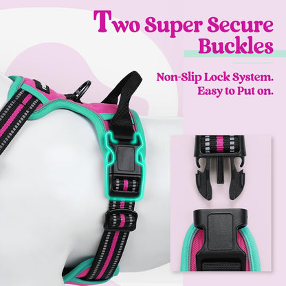 rabbitgoo Dog Harness No Pull with 2 Leash Clips, Adjustable Soft Padded, Reflective Oxford No