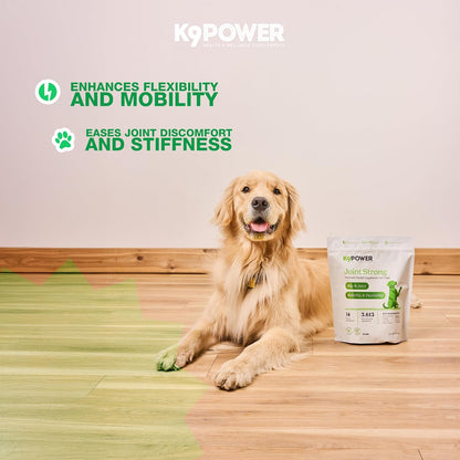 K9 Power Joint Strong Supplement 1 lb - Dog Joint Health & Mobility Support with Glucosamine