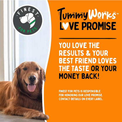 TummyWorks Probiotic 120 Soft Chews for Dogs All Ages - Supports Digestive Health, Relieves