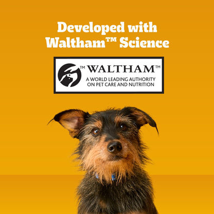 Pedigree Dentastix Small & Toy Breed Dental Dog Treats. Chosen for real quality, fits naturally