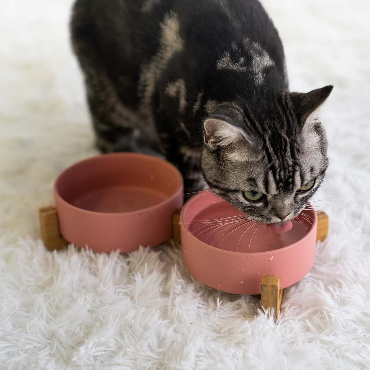 SPUNKYJUNKY Ceramic Dog and Cat Bowl with Wood Stand Non-Slip Matte Glaze Weighted Food Water Set