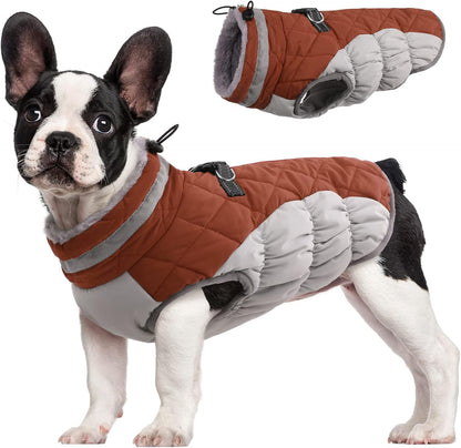 FUAMEY Dog Coat for Small Dogs,Waterproof Dog Winter Jacket with Harness Built in Puppy Cold