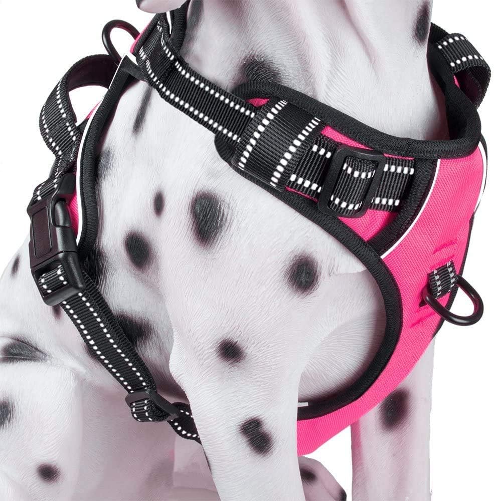 PoyPet No Pull Dog Harness, Reflective Comfortable Vest Harness with Front & Back 2 Leash