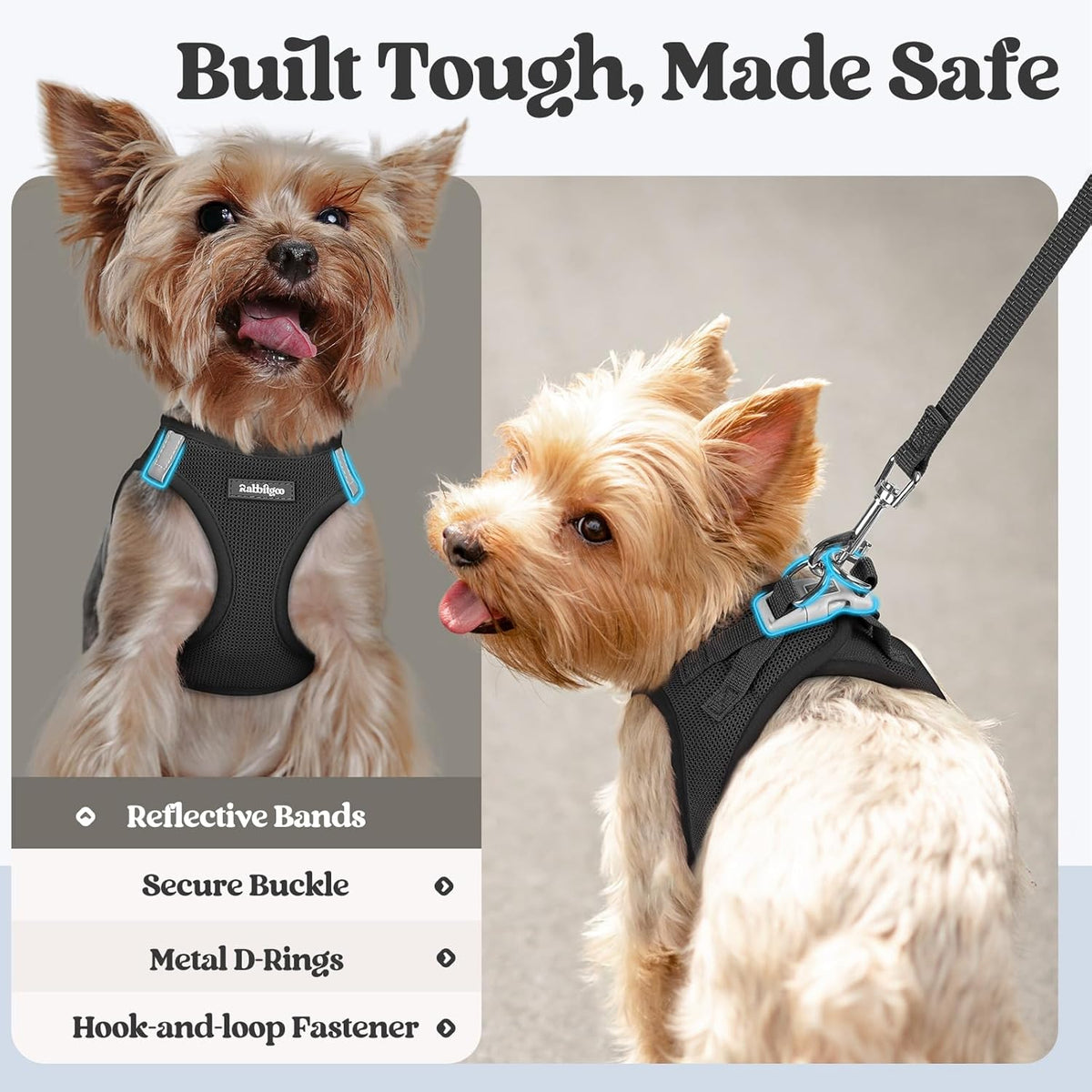rabbitgoo Dog Harness Small Sized and Leash Set, Step in Soft Light Puppy Vest, Breathable Mesh Pet