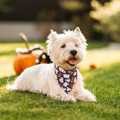 PTDECOR Halloween Dog Bandana, Reversible Holiday Pet Scarf, Multi Size, Triangle Puppy Halloween