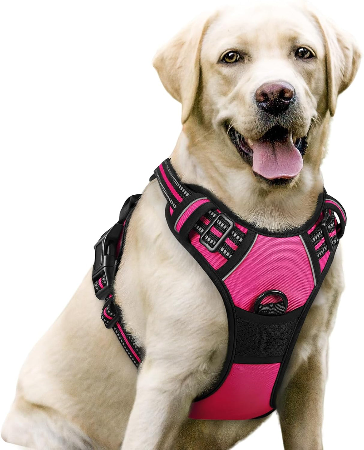 rabbitgoo Dog Harness No Pull with 2 Leash Clips, Adjustable Soft Padded, Reflective Oxford No