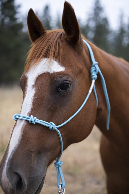 Horse Rope Training Halter - 4 Knot 1/4" Stiff Halter Cord - Used by Famous Trainers Multiple Sizes