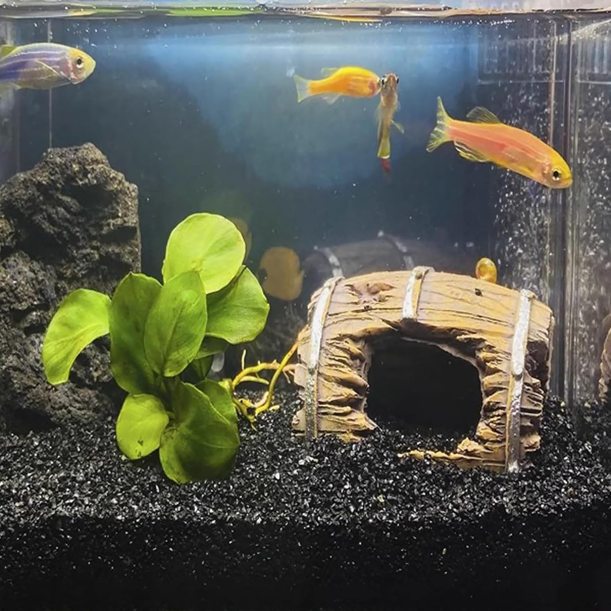10 lbs Black Aquarium Silica Sand. Decorative Aquarium Gravel Substrate for Fish Tank, Plants