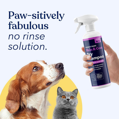 Honest Paws Dog Dry Shampoo - Waterless No Rinse Spray Formula Reducing Itch Cleanse Hydrate