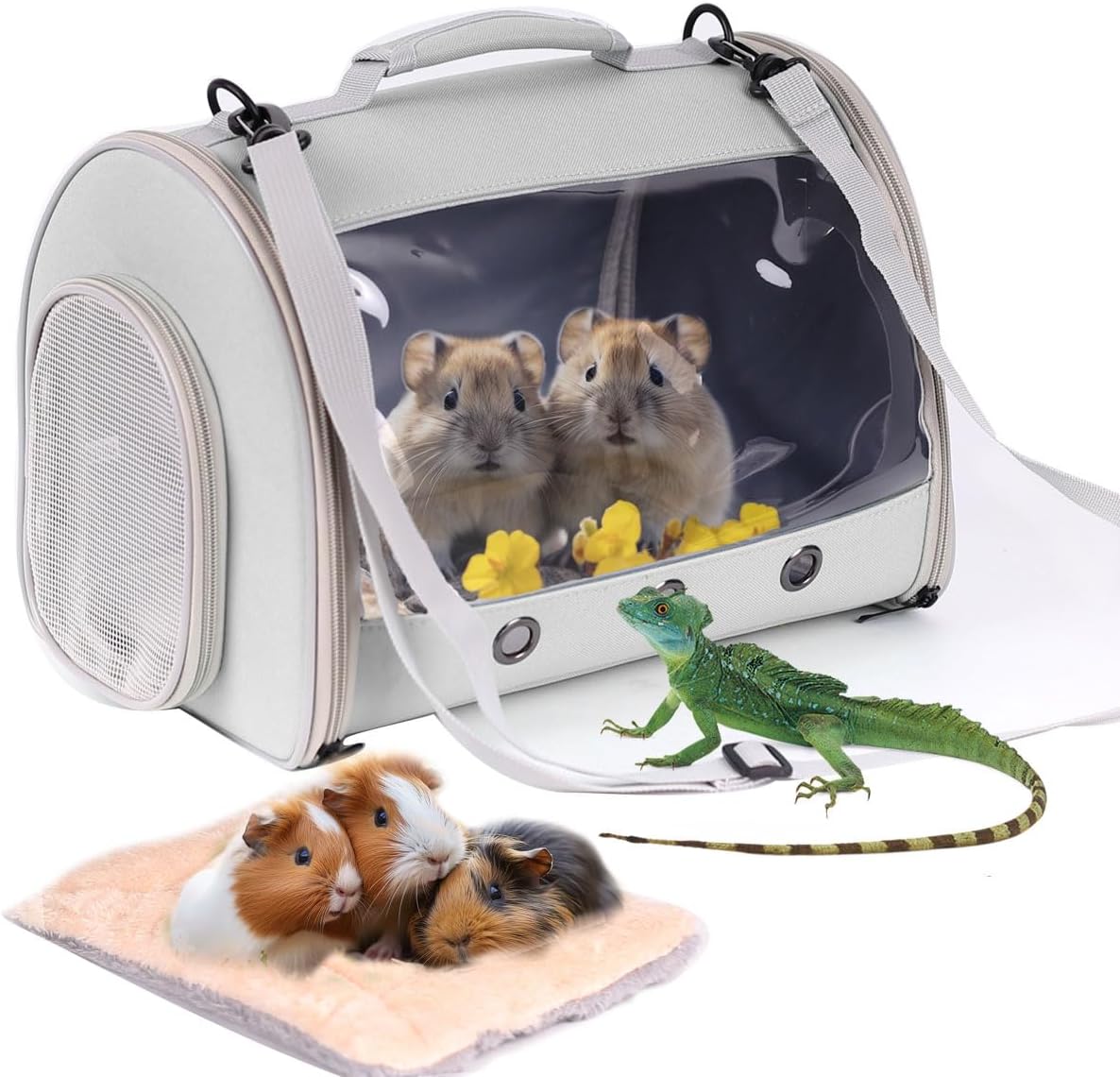 Bearded Dragon Travel Carrier Backpack,Lizard Backpack Carrier,Space Capsule Clear Bubble Window