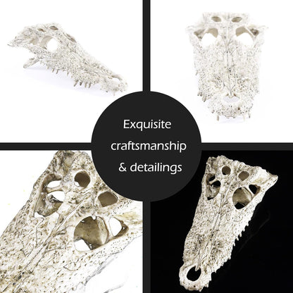 Animal Skull Fish Aquarium Hideout Decorations Cave Dinosaur Reptile Ornament Halloween Décor for