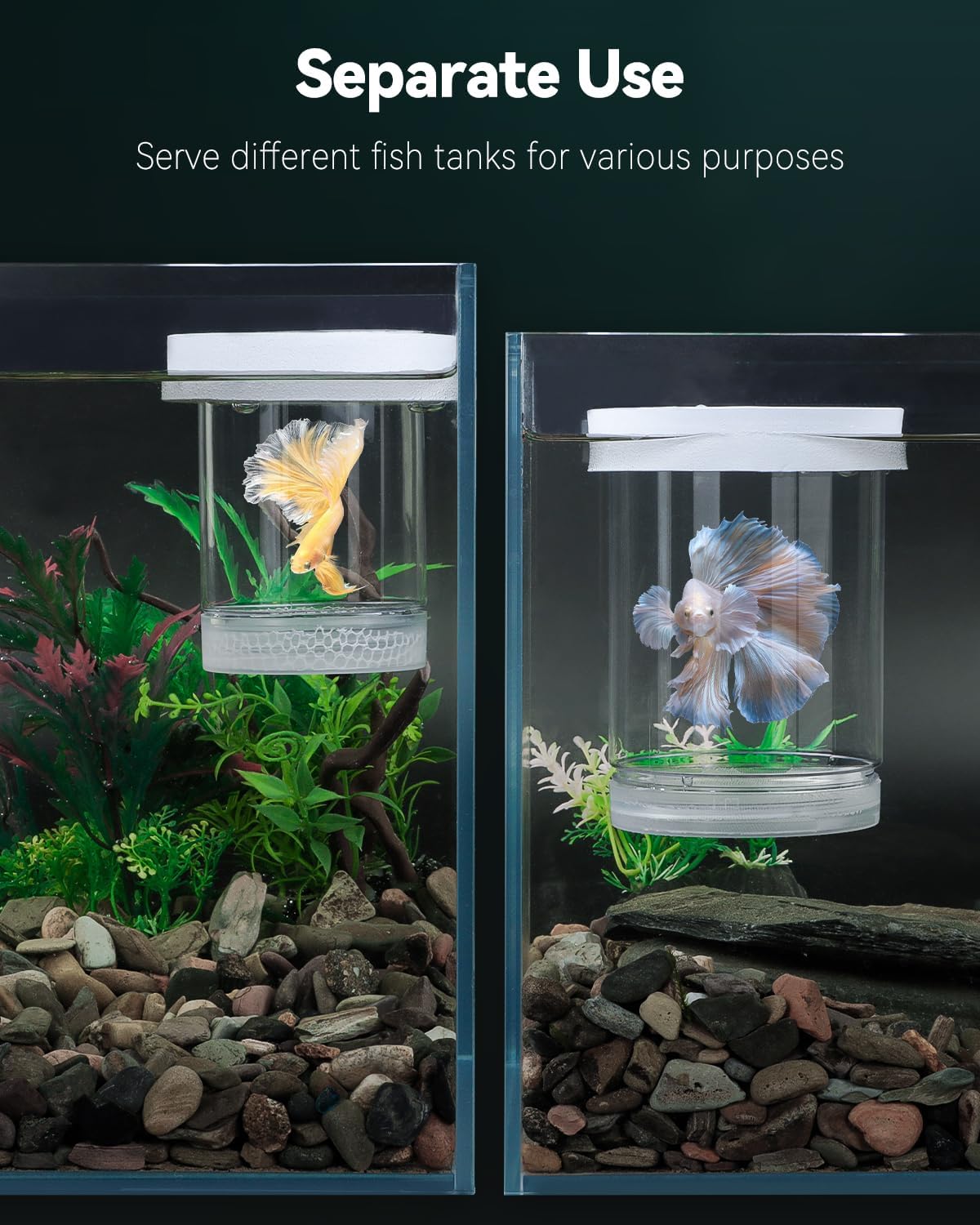 Pawfly Breeder Box for Fish Tank, Aquarium Fish Breeding Box, Floating Guppy Breeder Box, Baby Fish